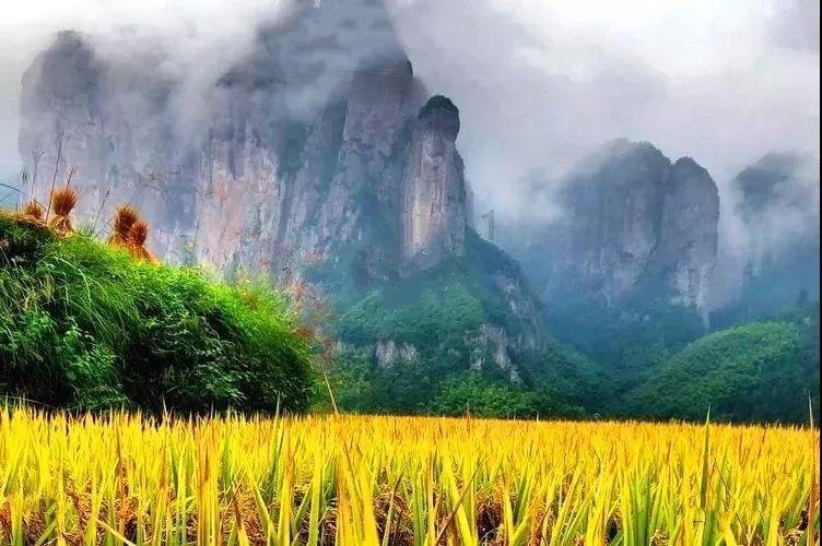 QQ游戏