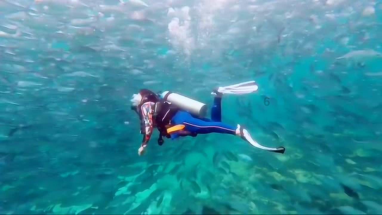 逃离潮湿的房屋